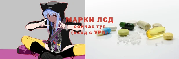 шишки Арсеньев