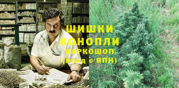 шишки Арсеньев