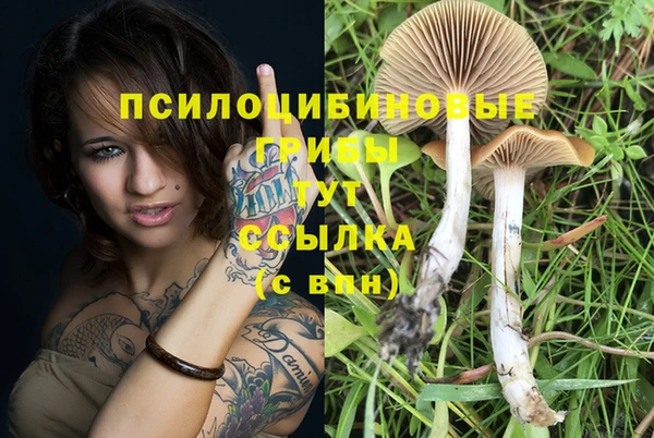 ECSTASY Аркадак