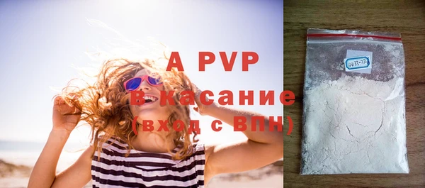 шишки Арсеньев