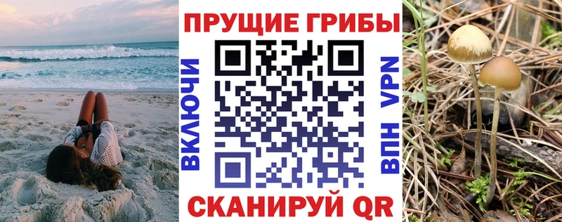 ссылка на мегу онион  Вольск  Галлюциногенные грибы прущие грибы 